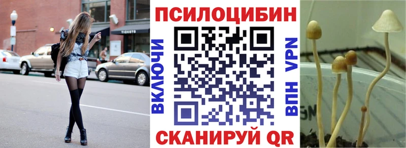 Псилоцибиновые грибы Psilocybe  сколько стоит  Верея 