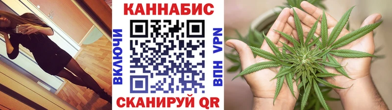 Бошки Шишки VHQ  Верея 